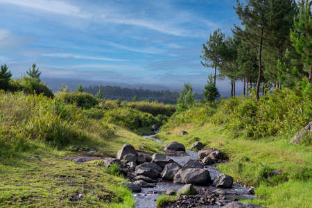 Small and magical river flowing in the middle of a forest full of green color, with a background of...