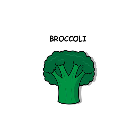 Broccoli icon. Isolated on white background. Vector illustration.の写真素材