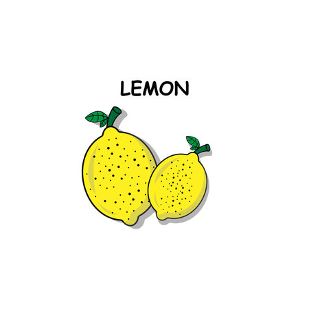 Lemon. Hand drawn vector illustration. Isolated on white background.の写真素材