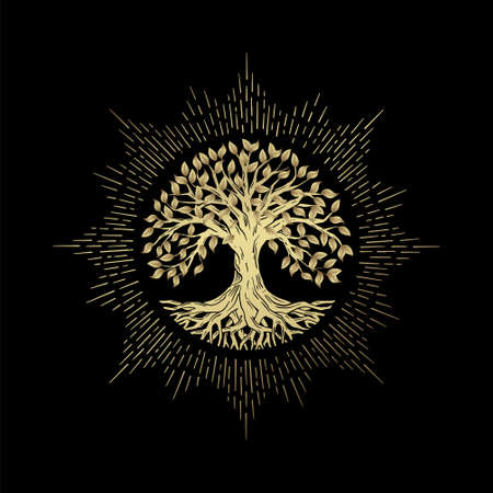 Tree of Life or Luxury Gold Tree and roots vector with round shape.のイラスト素材