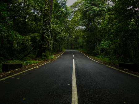 the road that divides the tropical rain forests in eastern Javaの写真素材