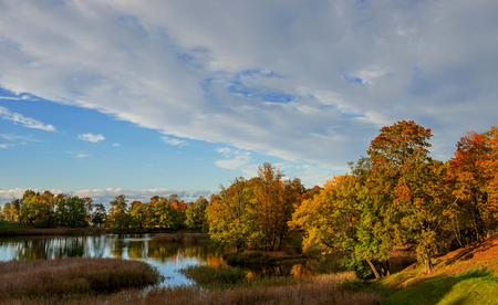 Park in red and orange colors of the autumn season.の写真素材