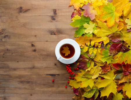 Autumn Flat Lay with Cup of Tea or Coffee and Colorful Leaves Corner Border. Top View of Old Wooden Textured Background with Empty Copy Space. Autumn Coziness Conceptの写真素材