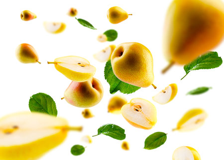 Excellently retouched pears, whole halves and slices with leaves fly and levitate in space. Volumetric light from behind. Isolated on whiteの写真素材