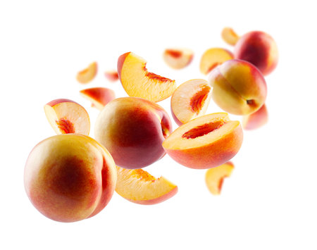 Ripe nectarines, whole halves of quarters and sections, fly and levitate in space, forming the shape of a chain. Surround back light. Isolated on whiteの写真素材
