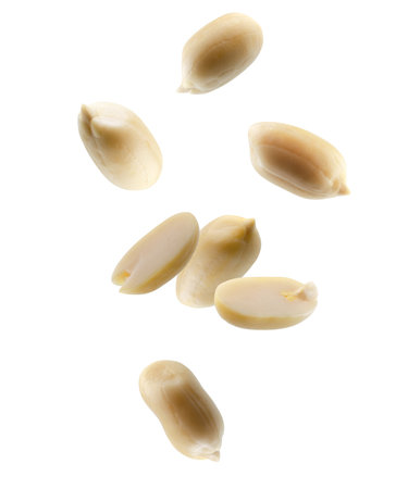 Shelled whole and half peanuts fall in space. Volumetric back light. Isolated on whiteの写真素材