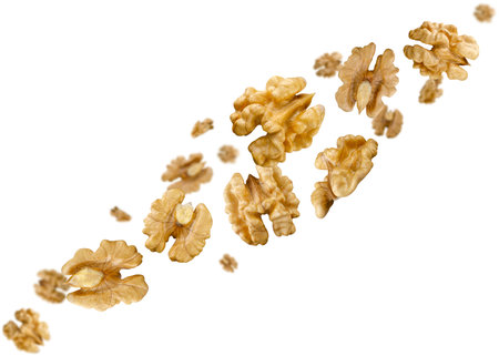 Halves of walnut kernels fly in space forming a chain shape. Isolated on whiteの写真素材