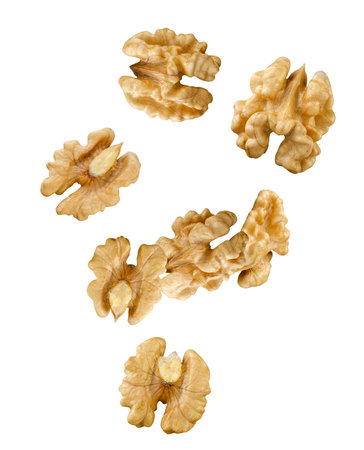 Halves of walnut kernels fall in space. Isolated on whiteの写真素材