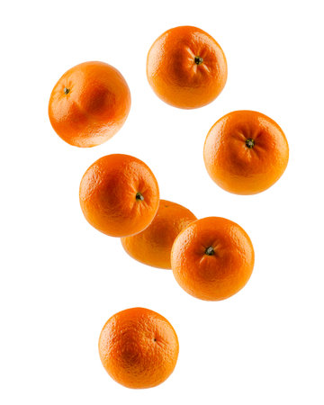 Whole unpeeled tangerines fall in space. Volumetric back light. Isolated on whiteの写真素材