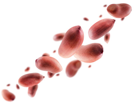 Peanuts in red skins fly in space forming a chain shape. volumetric backlight. Isolated on whiteの写真素材