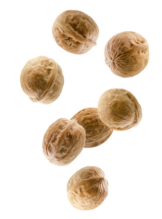Whole walnuts falling in space. Isolated on whiteの写真素材