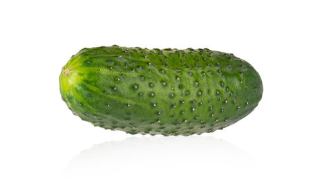 Single fresh gherkin isolated on white. Full depth of fieldの写真素材