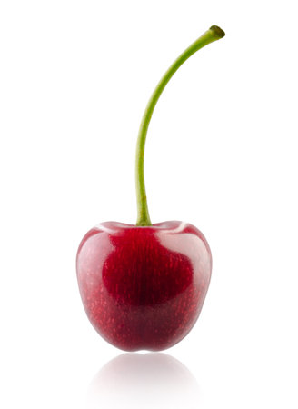 Cherry berry with stem isolated on white. Mirror reflection of the shadow.の写真素材