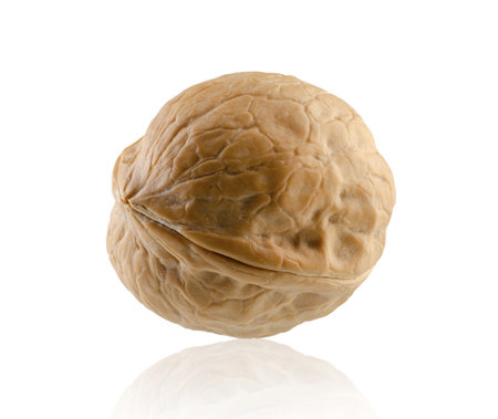 Walnut isolated on white. Volumetric backlight allows you to clearly see the texture of the nut peelの写真素材