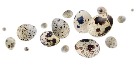 Whole quail eggs fly and levitate in space. Isolated on white. Full depth of field.の写真素材