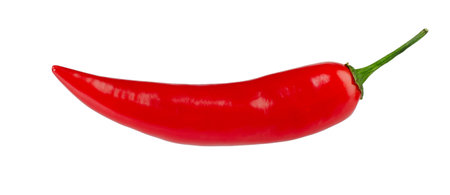 Excellent single red hot chili pepper isolated on whiteの写真素材