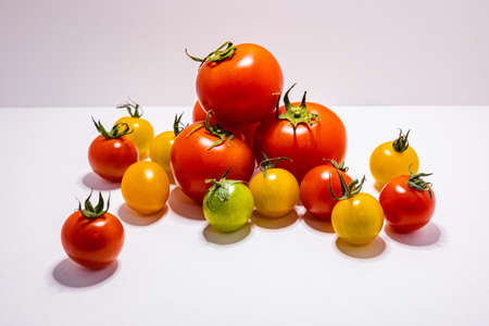Colorful tomatoes with white backgroundの写真素材