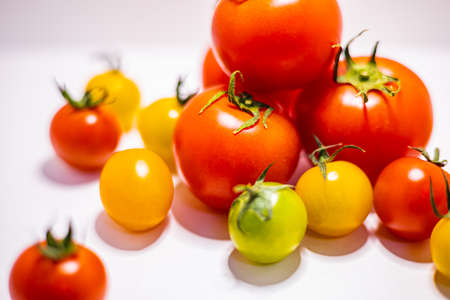 Colorful tomatoes with white backgroundの写真素材