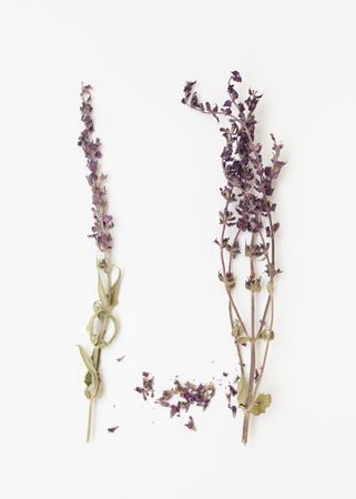 Dry bunch of sage in cooking and treatment in folk medicine. Place for the text.の写真素材