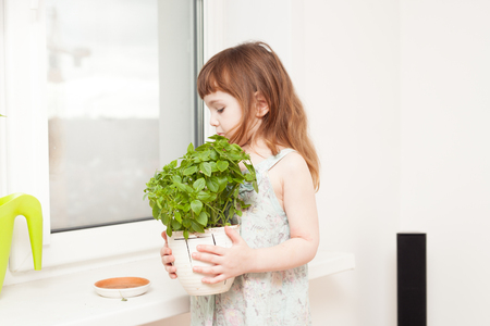 A little girl (3-4 years old) with red long hair looks after the plants at home.の写真素材