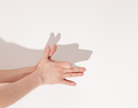 child plays with a parent in the theatre of shadows on a white wallの写真素材