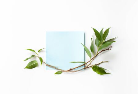 Background image of environmental themes. Place for the text.の写真素材