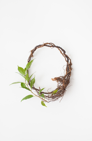 A circle of twigs on a white background. Place for text.の写真素材