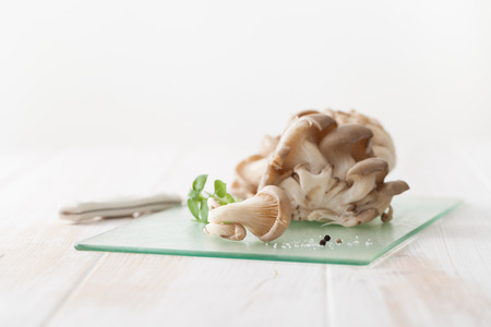 Recipes of oyster mushrooms with salt, Bay leaf, pepper on a white table. Place for text.の写真素材