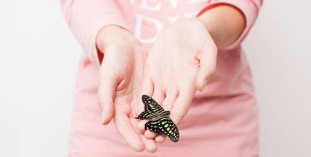 The butterfly is black with green spots on hand on white background. Place for text.の写真素材
