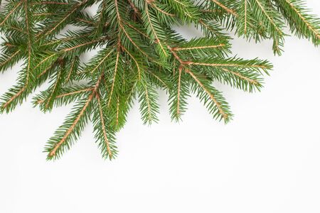 Interior decorating with fir tree branches for Christmas Background image.の写真素材