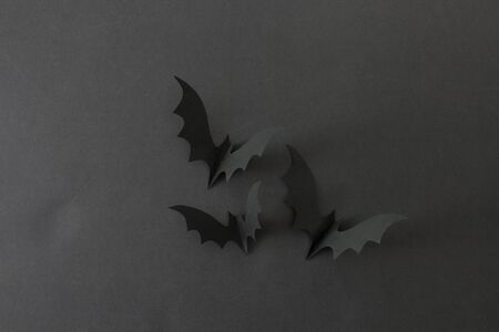 Halloween background with bats on a black background. An empty space to insert text.の写真素材