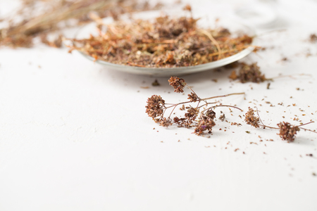Dried herbs in alternative medicine recipes on white. Copy space text.の写真素材