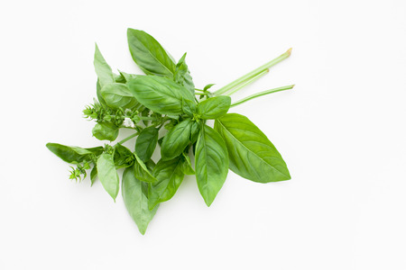 Spicy herbs on white for use in salads and marinades.の写真素材