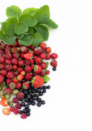 Garden berries on white background. The harvest of berries. Copy space textの写真素材