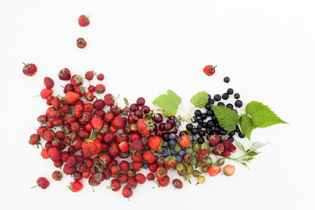Garden berries on white background. The harvest of berries. Copy space textの写真素材