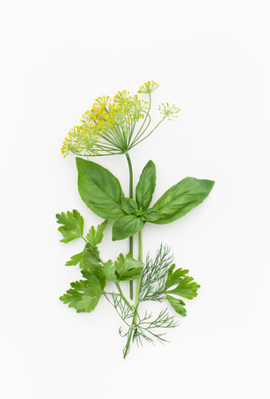 Spicy herbs on white for use in salads and marinades.の写真素材
