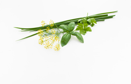 Spicy herbs on white for use in salads and marinades.の写真素材