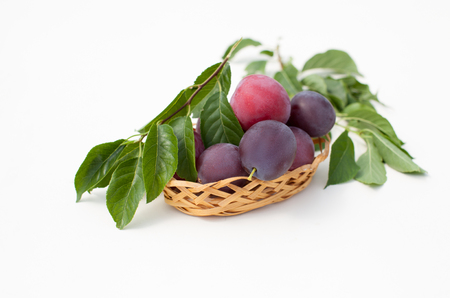 Garden plum with branches on the table in the garden. Place to insert text.の写真素材