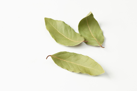 Bay leaf is a natural antiseptic that has anti-inflammatory properties and produces analgesic effect.の写真素材