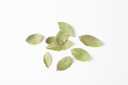 Bay leaf is a natural antiseptic that has anti-inflammatory properties and produces analgesic effect.の写真素材