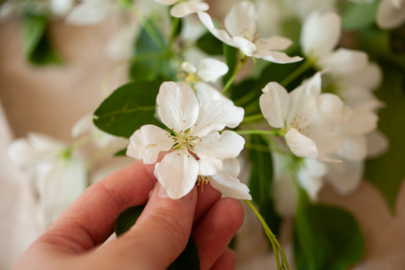 Image of a bouquet of ornamental herbs and Jasmine branches.の写真素材