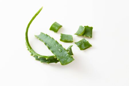 Aloe is the century plant, rannik, Sabur. The use of aloe in medicine and cosmetology.の写真素材