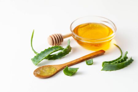 Aloe is the century plant, rannik, Sabur. The use of aloe in medicine and cosmetology.の写真素材