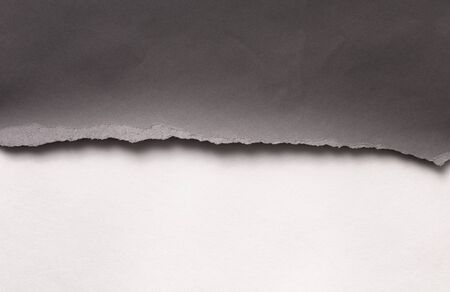 Background texture of gray paper with a torn off uneven edge on a white background. Copy space text