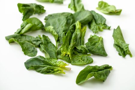 Fresh spinach: marsh grass, patience dock leaves on a white backgroundの写真素材