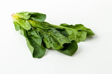 Fresh spinach: marsh grass, patience dock leaves on a white backgroundの写真素材