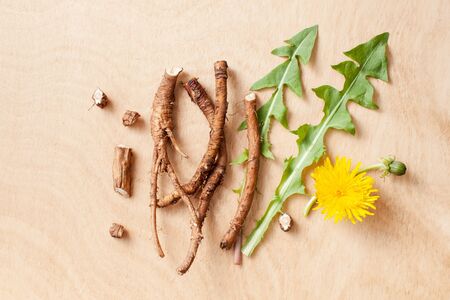 Young raw dandelion roots with flower leaves on a wooden background for use in cooking, cosmetology and medicine.の写真素材