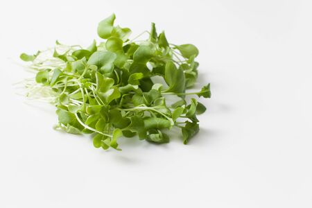 Young daikon greens on a white background. Then if the salad is used in the treatment of beriberi and cooking vegan dishes. Copy space for textの写真素材