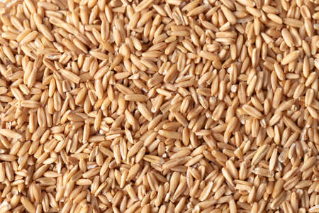 Background texture peeled grain oats. Copy space text.