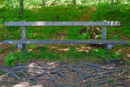 Wooden bench in the parkの写真素材